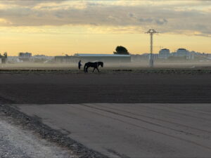Photo with man tending filed with horse
