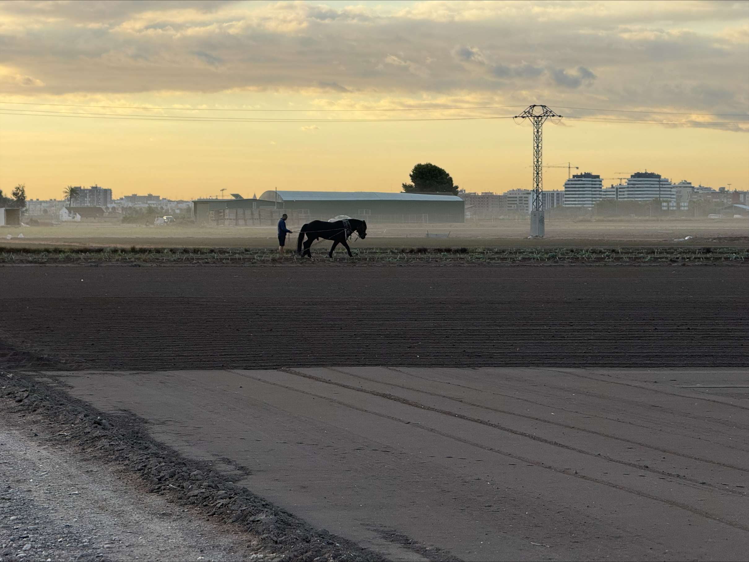 Photo with man tending filed with horse